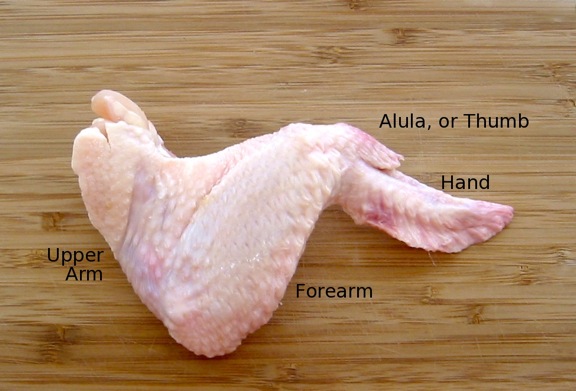A whole chicken wing from a grocery store